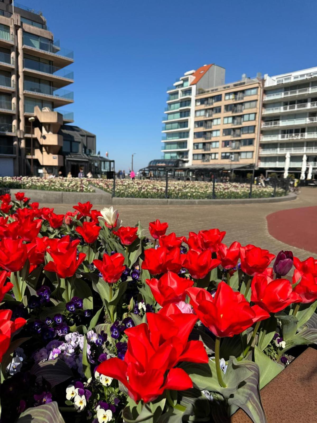 Luxe Studio/Suite Met Zeezicht En Volle Zon Knokke-Heist Exteriör bild