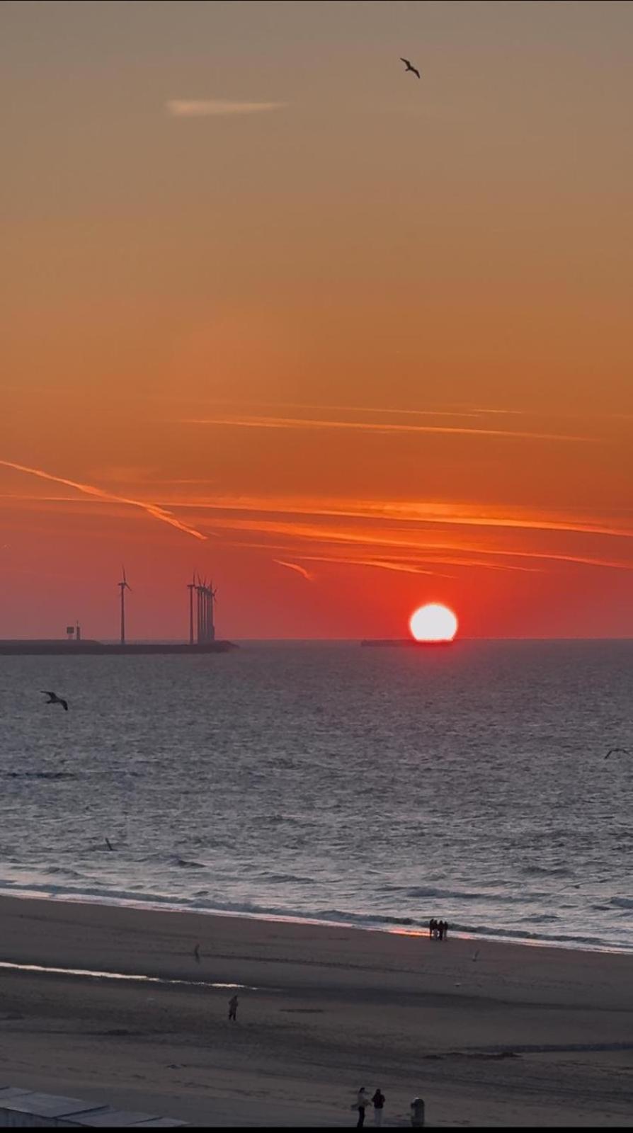 Luxe Studio/Suite Met Zeezicht En Volle Zon Knokke-Heist Exteriör bild